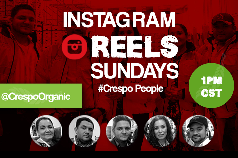 960Instagram Reels Sundays copy