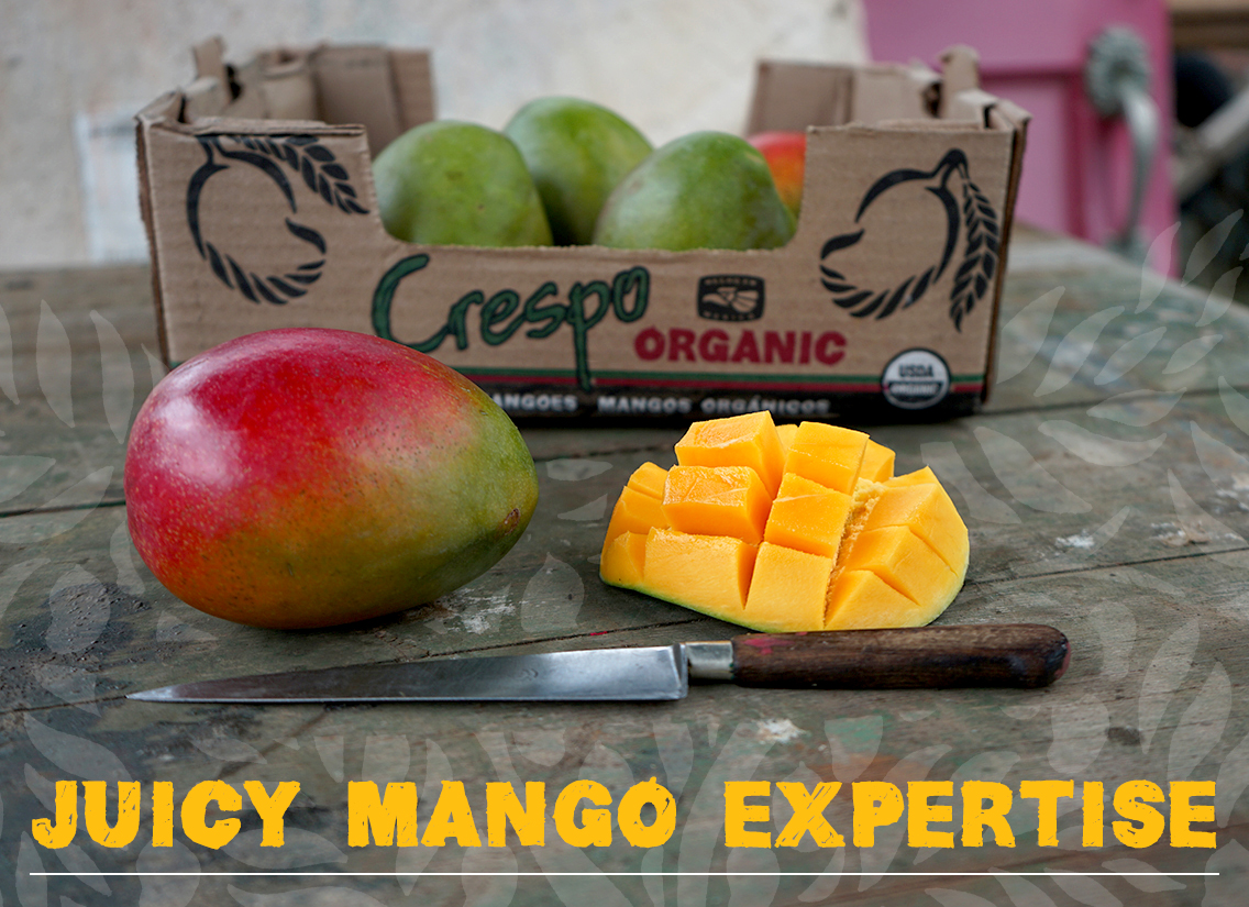 Juicy Mango Expertise