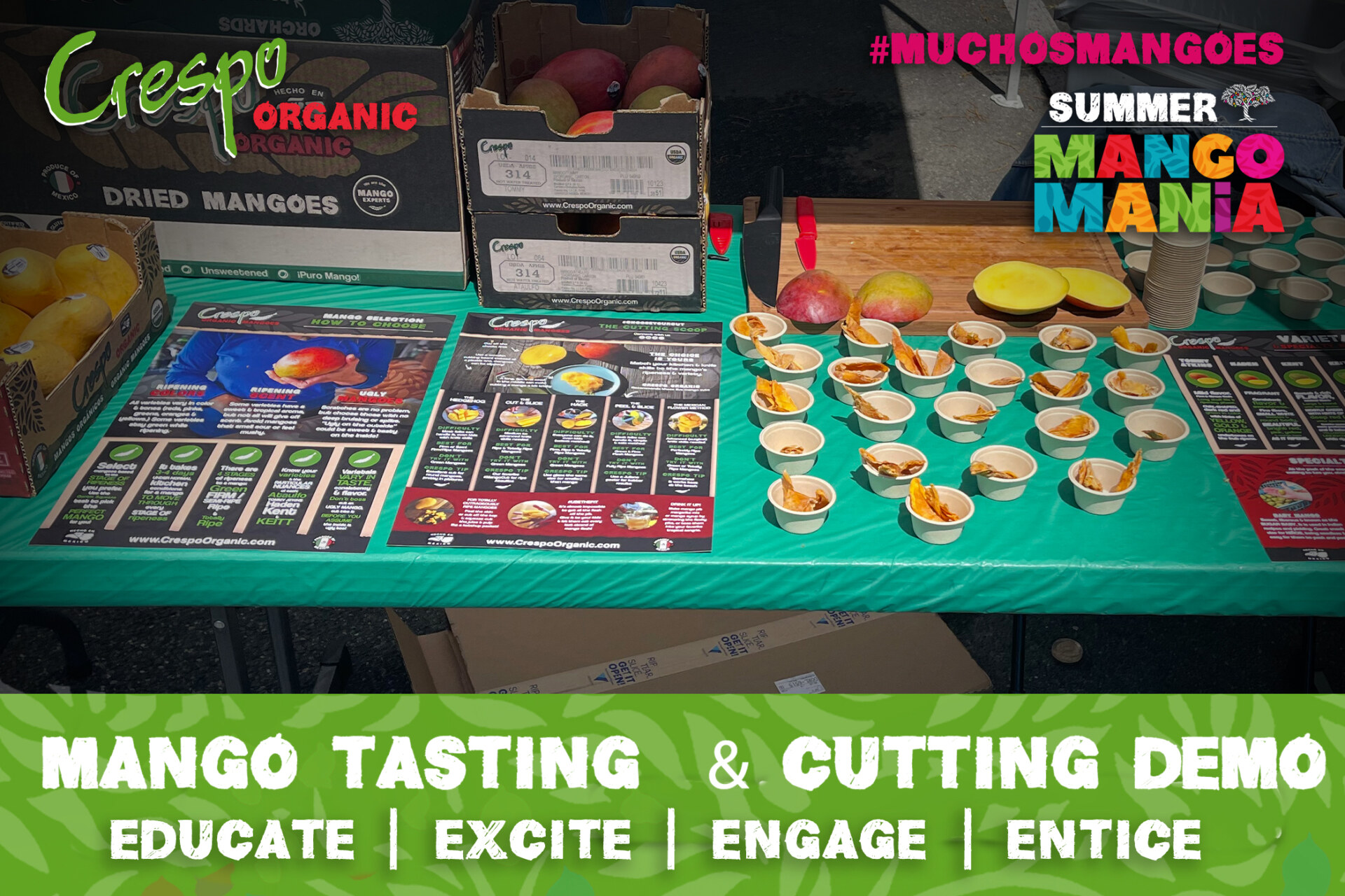 Mango Tasting and Cutting Demo 960