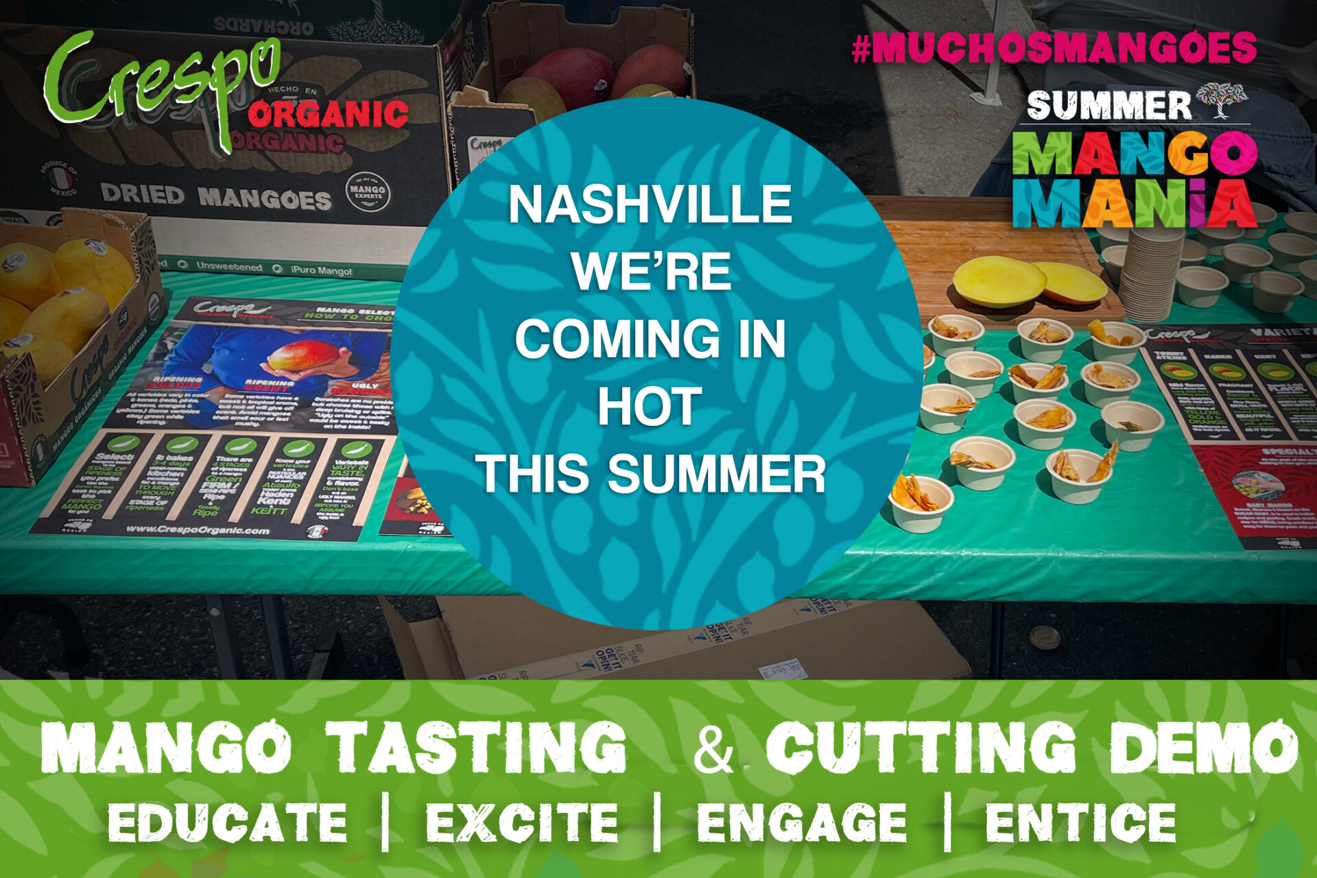NashvilleMango Tasting and Cutting Demo 960 copy