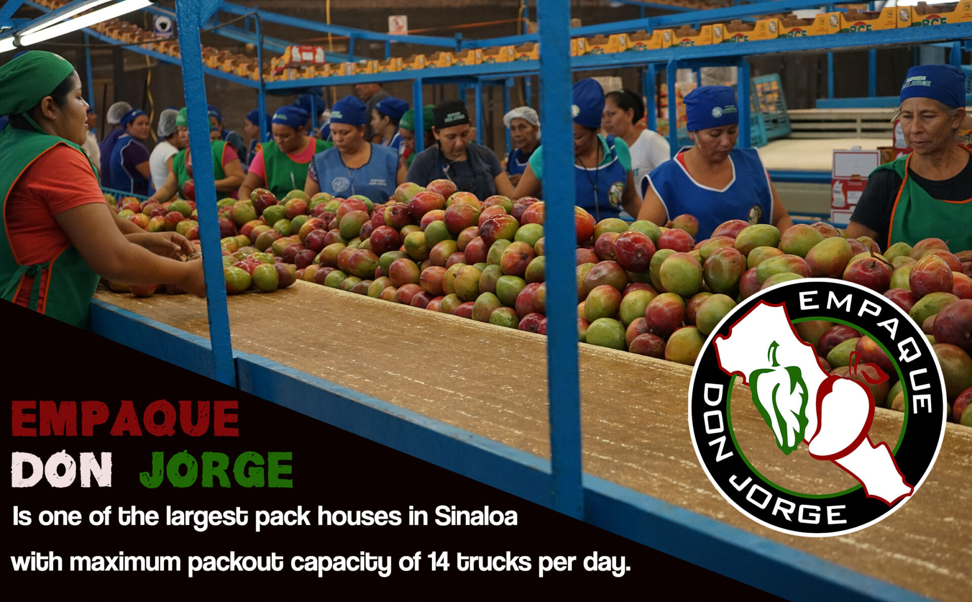 Packhouse Capacity